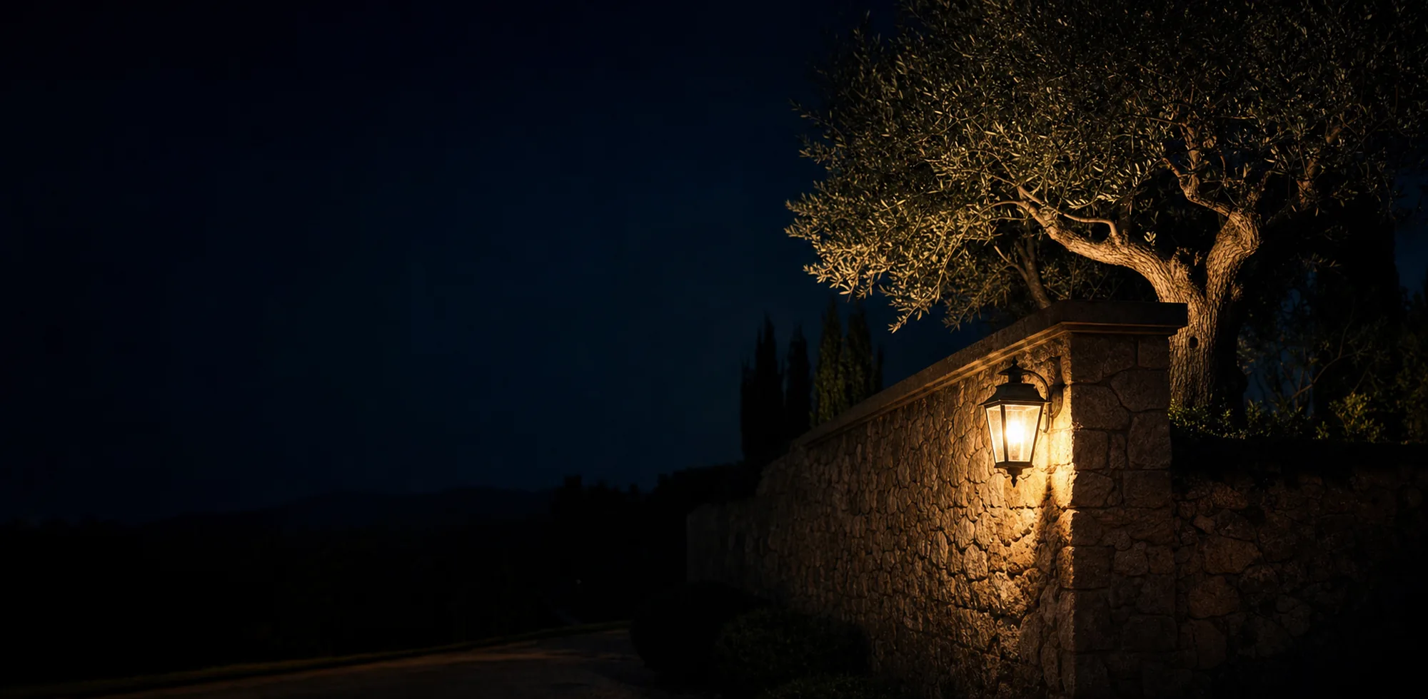 A lantern on a stone garden wall beneath an olive tree at night
